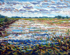 Loxahatchee Wetlands 2004